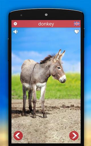 Animal Sounds - Image screenshot of android app