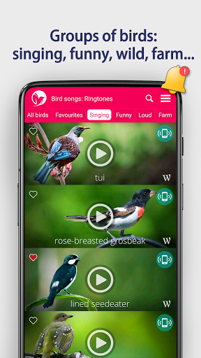 Bird Songs: Ringtones - عکس برنامه موبایلی اندروید