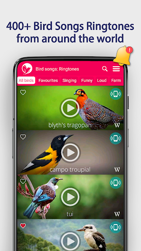 Bird Songs: Ringtones - عکس برنامه موبایلی اندروید