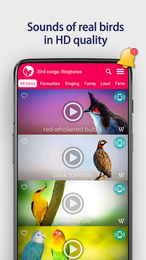 Bird Songs: Ringtones - عکس برنامه موبایلی اندروید