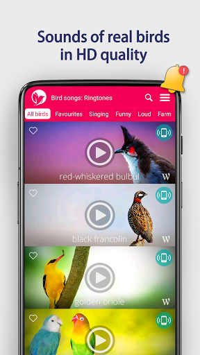 Bird Songs: Ringtones - Image screenshot of android app