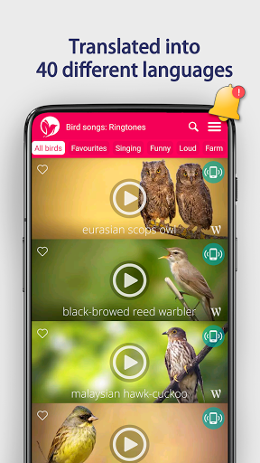 Bird Songs: Ringtones - عکس برنامه موبایلی اندروید