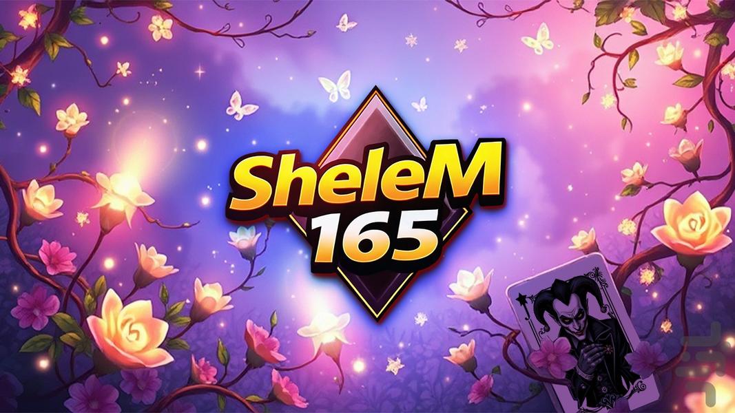 Shelem 165 - Gameplay image of android game