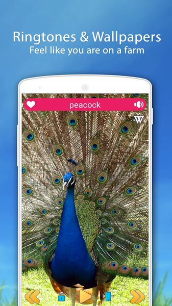 Farm Animal Sounds - عکس برنامه موبایلی اندروید