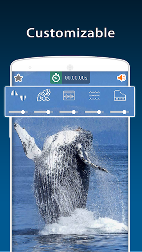 Nature Sounds - عکس برنامه موبایلی اندروید