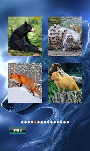Animals Jigsaw Puzzle - Gameplay image of android game