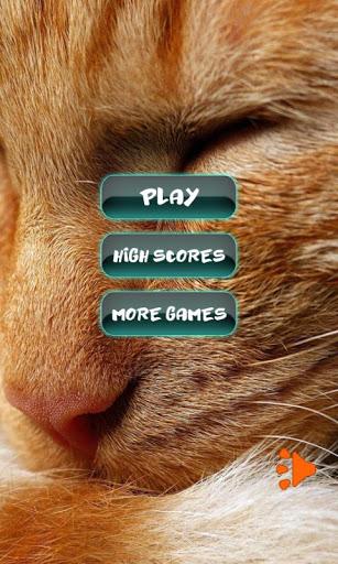 Cat Favourite Puzzles - Gameplay image of android game