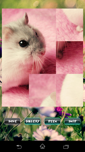Hamster Pet Puzzles - Image screenshot of android app