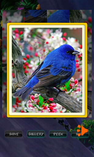 Spring Festive Puzzle - عکس بازی موبایلی اندروید