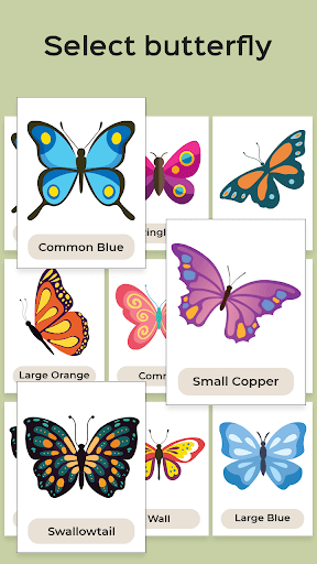 Butterfly Draw Step by Step - عکس برنامه موبایلی اندروید