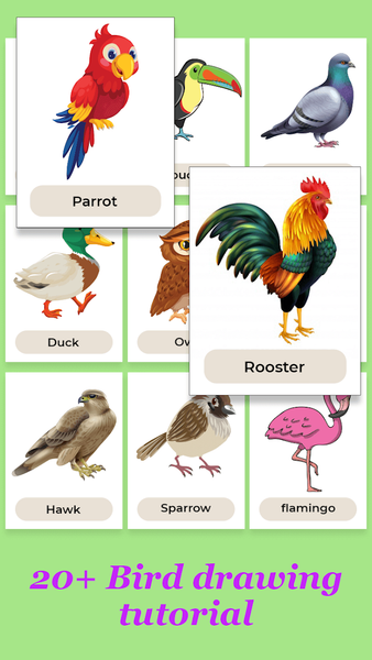 How to Draw Birds Step by Step - Image screenshot of android app