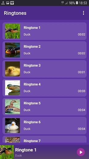 Duck - RINGTONES and WALLPAPERS - عکس برنامه موبایلی اندروید