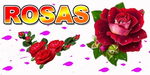 Rosas y Flores de Colores para Enamorar - Image screenshot of android app