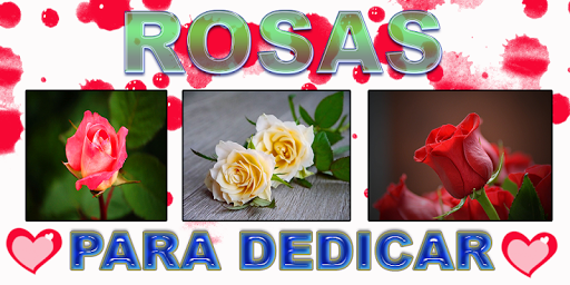 Rosas y Flores de Colores para Enamorar - Image screenshot of android app