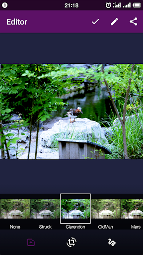 Smart Gallery - Photo Manager - Image screenshot of android app