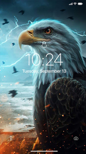 Eagle Wallpaper for Android - Download | Cafe Bazaar
