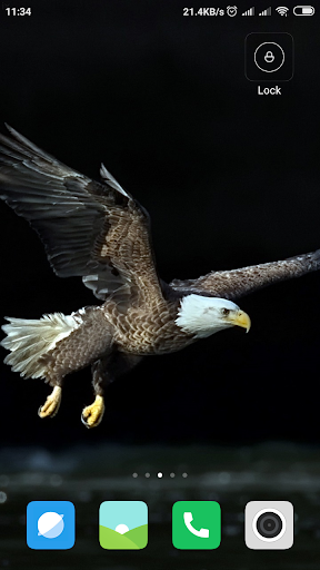 Eagle Wallpaper - عکس برنامه موبایلی اندروید