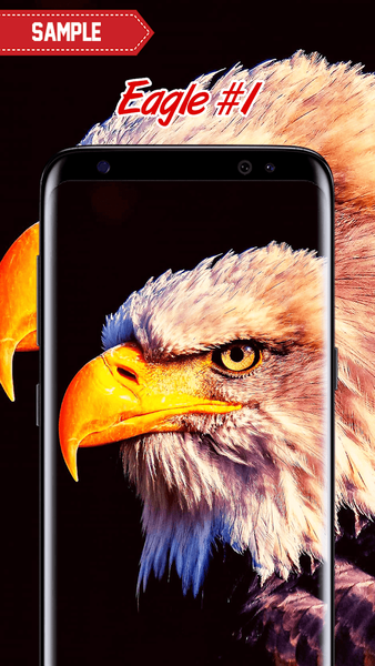 Eagle Wallpaper - Image screenshot of android app