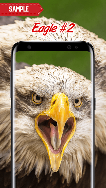 Eagle Wallpaper - Image screenshot of android app