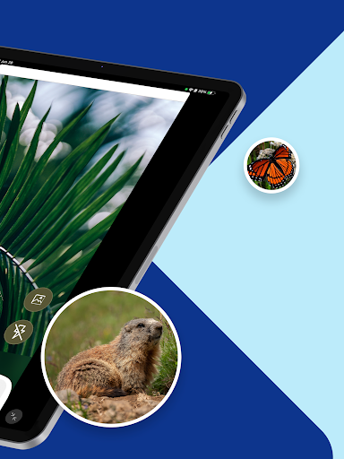 Plant & Animal ID・EarthSnap - عکس برنامه موبایلی اندروید