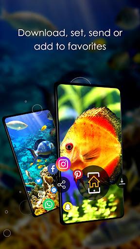 Wallpapers 4K with fish - Image screenshot of android app
