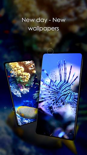 Wallpapers 4K with fish - Image screenshot of android app