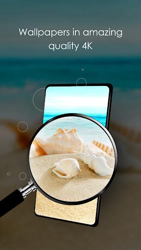 Wallpapers with shells in 4K - Image screenshot of android app