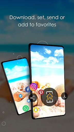 Wallpapers with shells in 4K - Image screenshot of android app