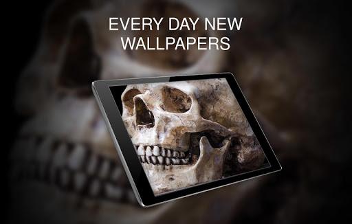 Wallpapers with Skulls 4K - Image screenshot of android app