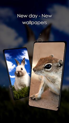 Wallpapers cute animals - Image screenshot of android app