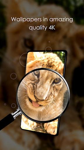Wallpapers cute animals - Image screenshot of android app