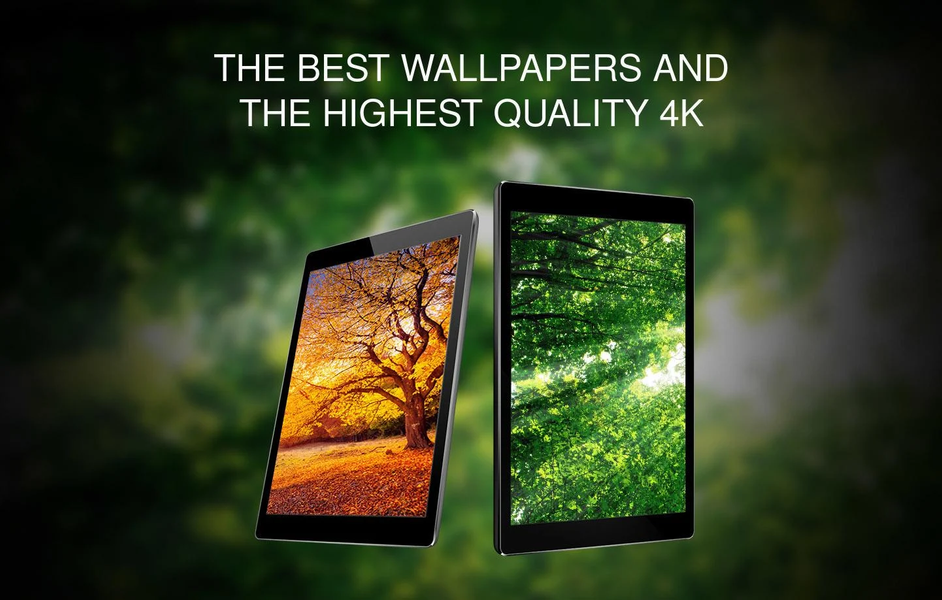 Wallpapers with trees ۴K - عکس برنامه موبایلی اندروید