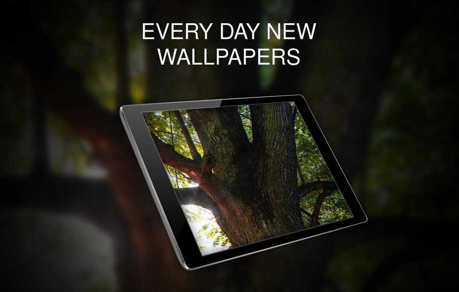 Wallpapers with trees ۴K - عکس برنامه موبایلی اندروید