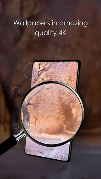 Winter wallpapers - Image screenshot of android app