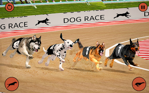 Buy CRAZY DOG RACING 3D Android Mobile Games