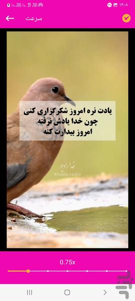 ویرایشگر فیلم - تغییر سرعت فیلم🎬 - Image screenshot of android app