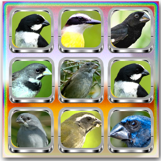 European Goldfinch Bird - عکس برنامه موبایلی اندروید