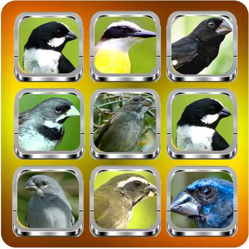 European Goldfinch Bird - عکس برنامه موبایلی اندروید