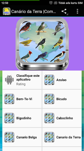 Canto De Pintassilgo Mp3 - Image screenshot of android app