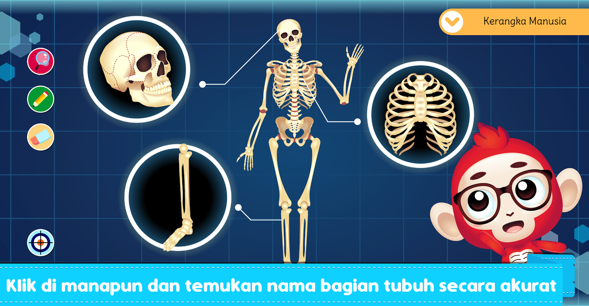 Marbel Anatomi Manusia SD ۵ - عکس برنامه موبایلی اندروید