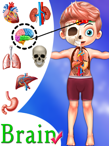 Kids Body Parts Learning - Gameplay image of android game