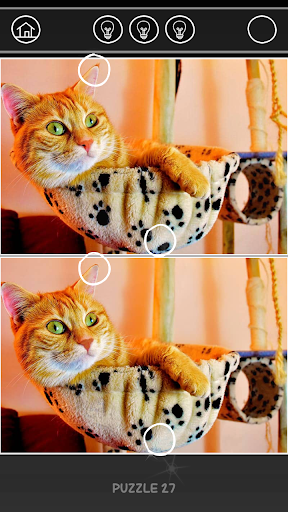 Find the differences - Gameplay image of android game