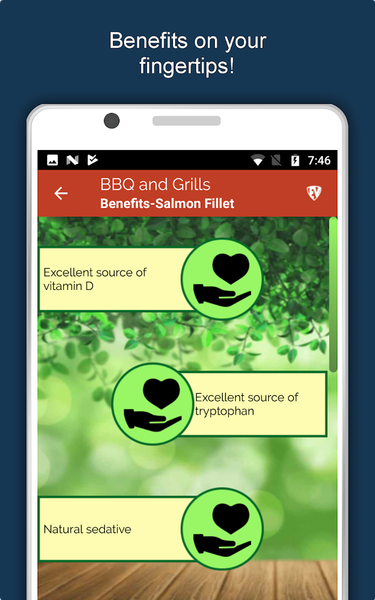 Barbecue Grill Recipes Offline - Image screenshot of android app