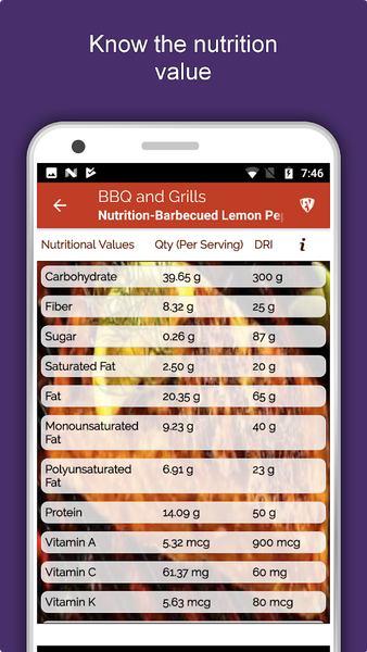 Barbecue Grill Recipes Offline - Image screenshot of android app