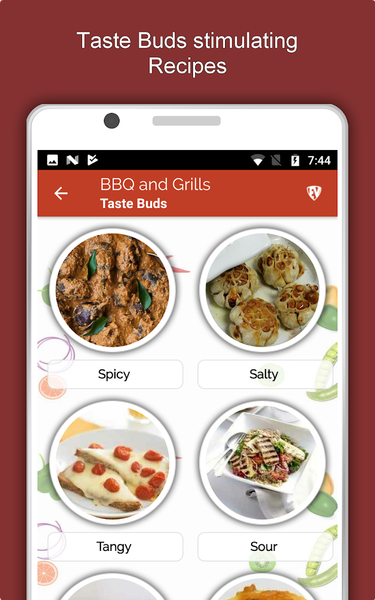 Barbecue Grill Recipes Offline - Image screenshot of android app