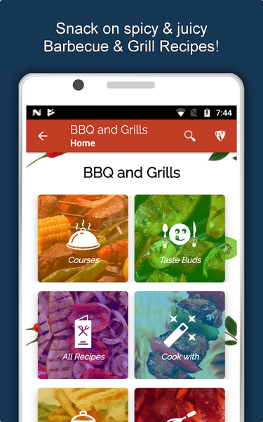 Barbecue Grill Recipes Offline - Image screenshot of android app