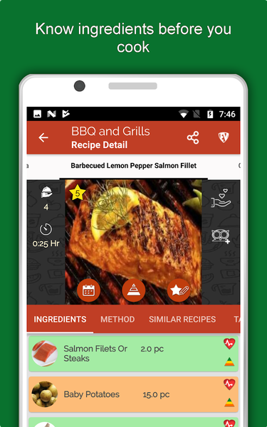 Barbecue Grill Recipes Offline - Image screenshot of android app
