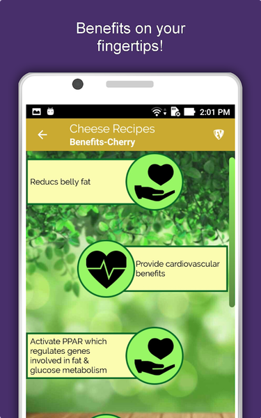 Healthy Cheese Recipes Offline - عکس برنامه موبایلی اندروید