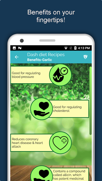 DASH Diet Recipes Offline - Image screenshot of android app