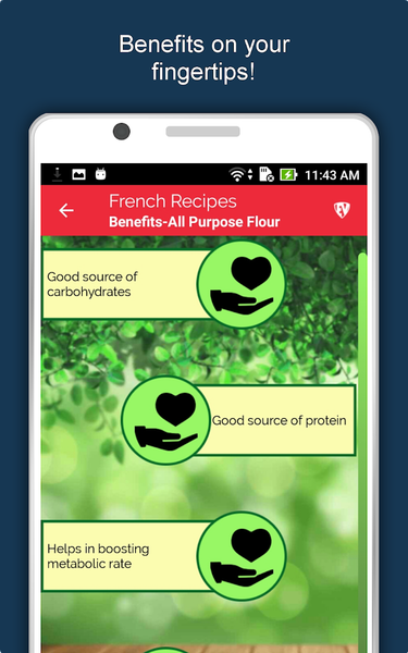 French Food Recipes Offline - عکس برنامه موبایلی اندروید